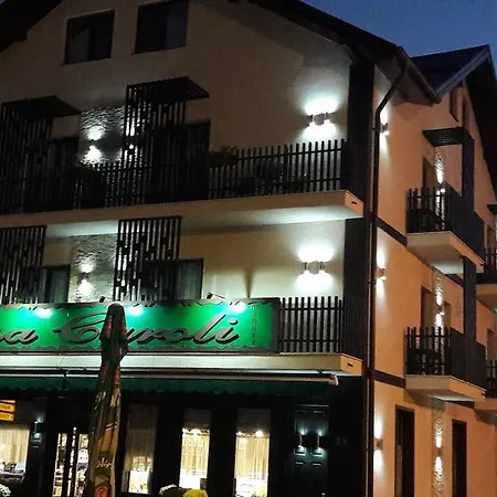 Casa Caroli Guest house Targu Jiu