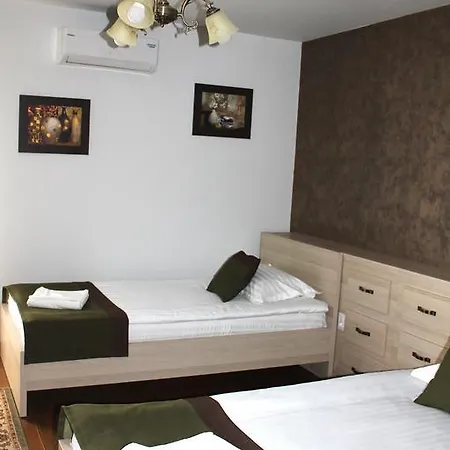 Guest house Casa Caroli Targu Jiu